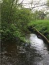 ELDE EXTREM ABENTEUER TOUR 02 SCHILDSCHER GRABEN NACH DER KUHLMUEHLE